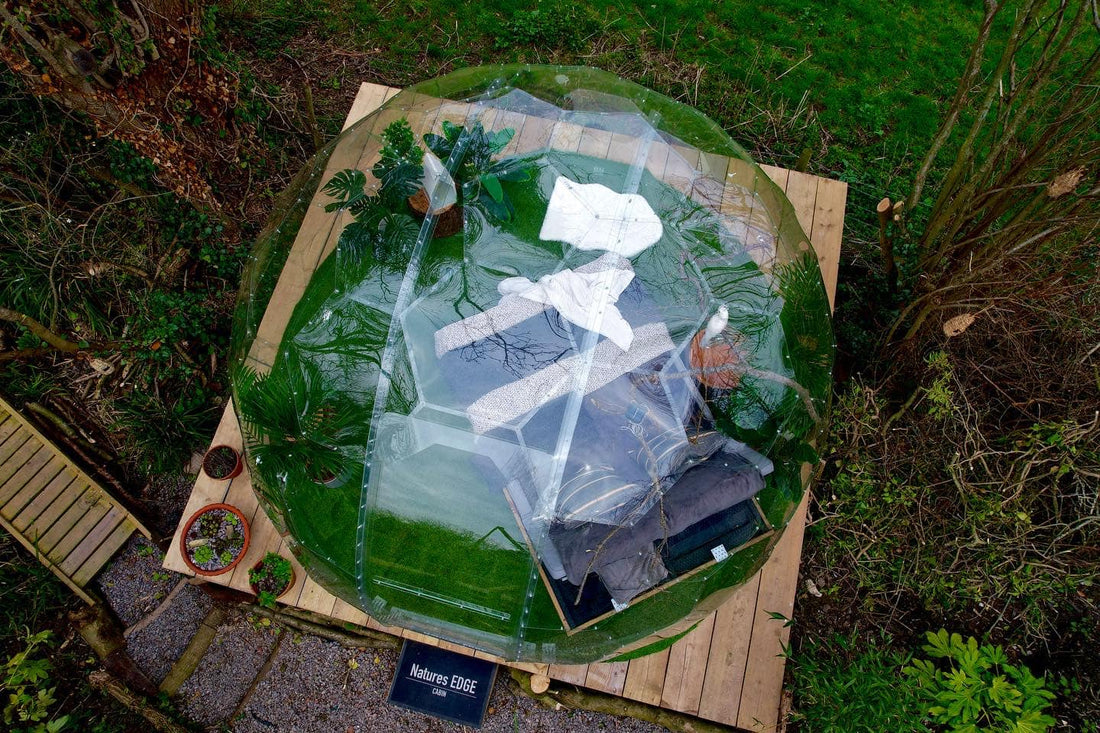 A GeoDomeX dome seen from above on a timber base in a garden