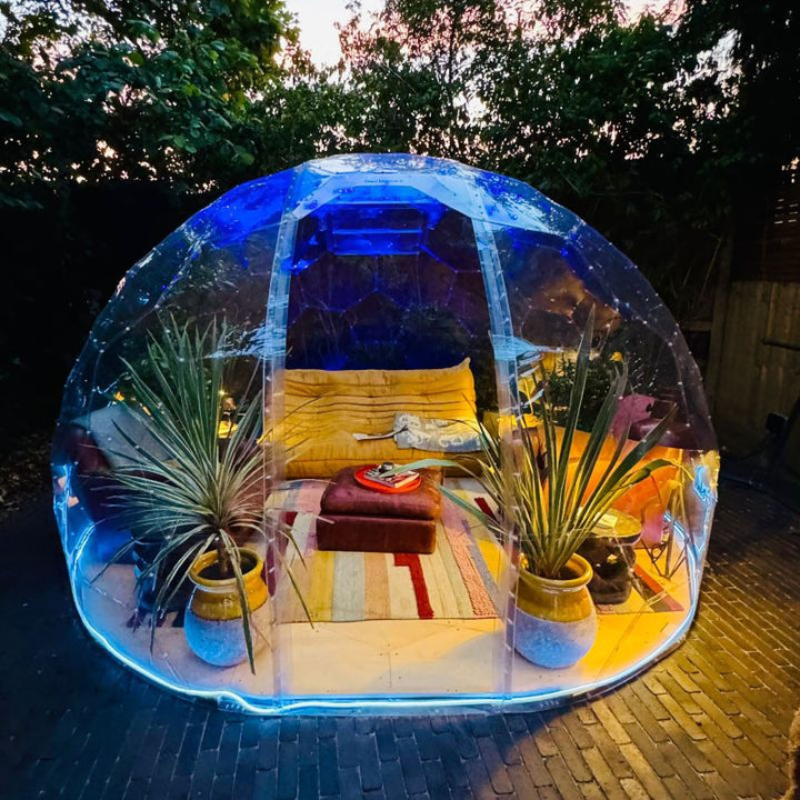 Garden Dome vs Polytunnel: Which Do You Need? | GeoDomeX – GeoDomeX.co.uk